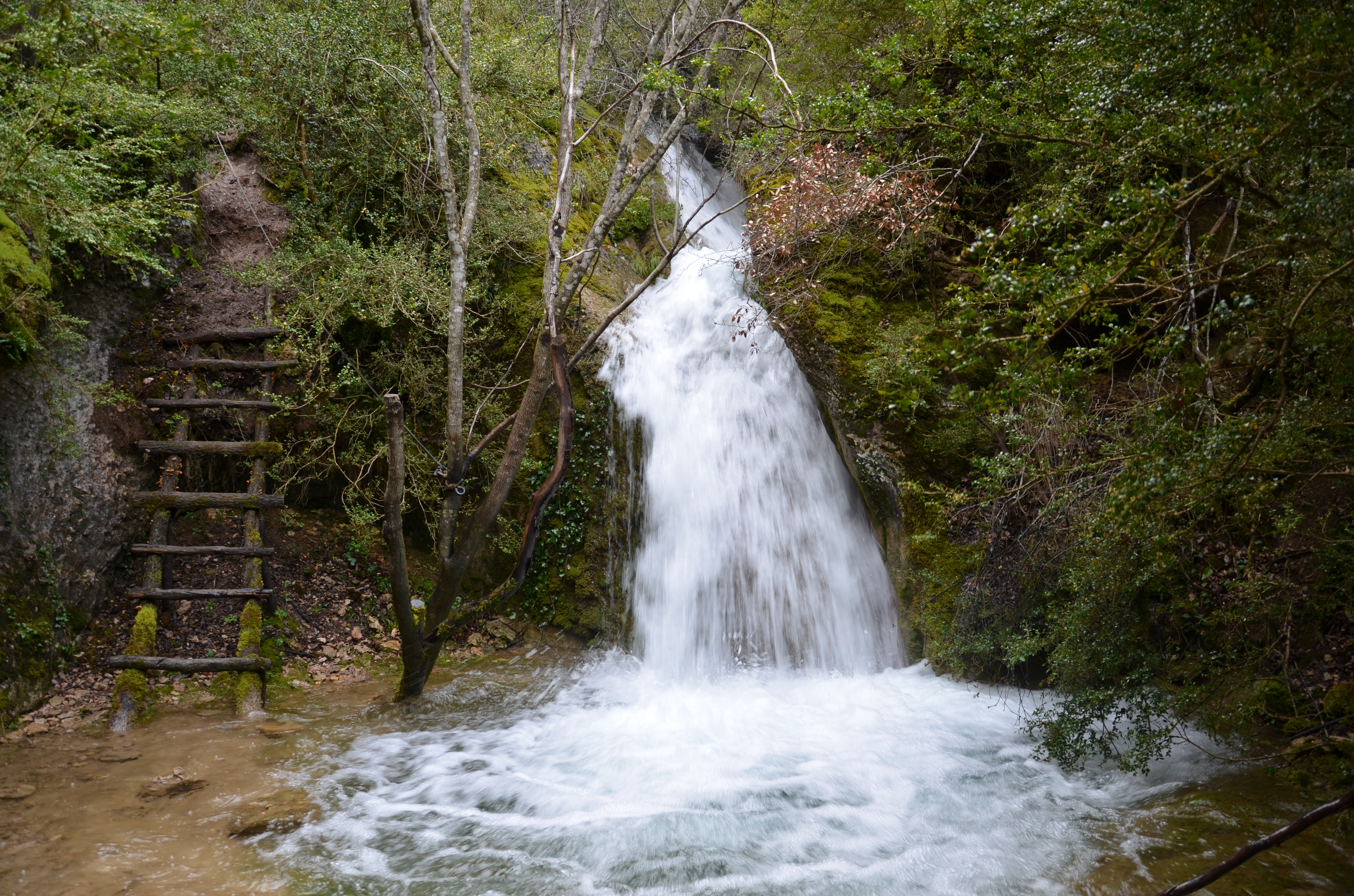 El agua